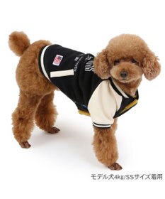 PET PARADISE J.PRESS バイカラー スタジャン  小型犬