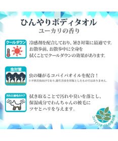 PET PARADISE ペットパラダイス クール  ボディタオル 20枚入り