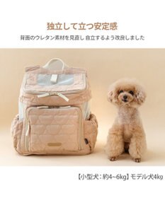 PET PARADISE ペットパラダイス くまちゃん キルティング ハグ＆リュック 小型犬