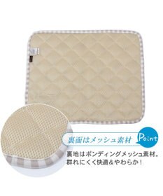 PET PARADISE 犬 クール マット 冷感 柔らか クールマット (48×40cm) 苺 くまちゃん ネイティブ 接触冷感 ひんやり ペット