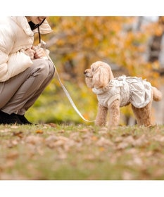 PET PARADISE ペットパラダイス ふりふり アウターハーネス 小型犬
