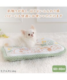 PET PARADISE スヌーピー マット Ｓ 《のほほん柄》　