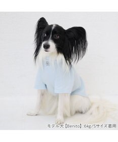 PET PARADISE ペットパラダイス Mai Kuraki　LOVE  ペットTシャツ 《ブルー》 中型犬