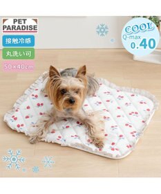 PET PARADISE ペットパラダイス クールマット 《苺花柄》 Ｓ