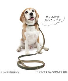PET PARADISE ペットパラダイス 合皮 首輪 《カーキ》 中型犬 SM