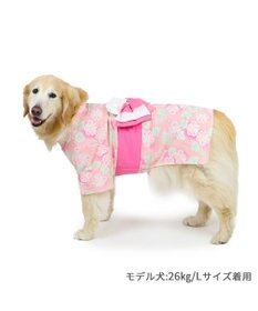 犬の浴衣✨犬用本格浴衣 SMサイズ 朝顔柄 オフ白 犬服 夏 犬の浴衣✨犬用本格浴衣 SMサイズ 朝顔柄 オフ白 犬服 夏 - メルカリ