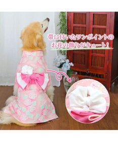 PET PARADISE ペットパラダイス 絞り風 浴衣 《朝顔》 中型犬 大型犬