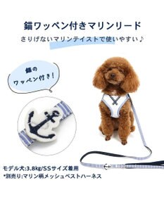 PET PARADISE 犬 リード 【4S~3S】 小花柄 マリン