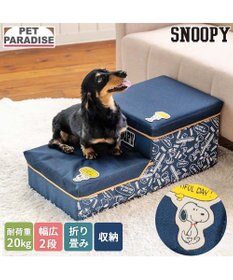スヌーピー おまかせ60個　6500円 銀座三越限定】小風呂敷 | STS/スヌーピータウンショップ