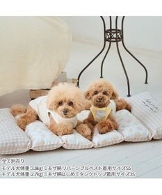 PET PARADISE ペットパラダイス ごろ寝マット 《ミモザ柄》 小型犬