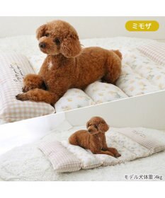 PET PARADISE ペットパラダイス ごろ寝マット 《ミモザ柄》 小型犬