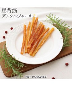 PET PARADISE 馬背筋デンタルジャーキー 40g