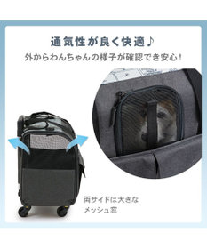 スヌーピー キャスター付き折り畳みキャリー 小型犬 / PET