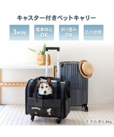 ペットパラダイス　キャスター付ペットキャリー　スヌーピー スヌーピー キャスター付き折り畳みキャリー 小型犬 / PET