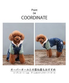 PET PARADISE Ｌｅｅ サガラ刺繍 パーカー  《グリーン》 小型犬