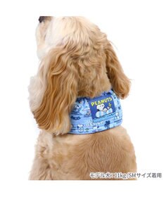 PET PARADISE スヌーピー クール スヌード《バケーション柄》 中型犬 大型犬