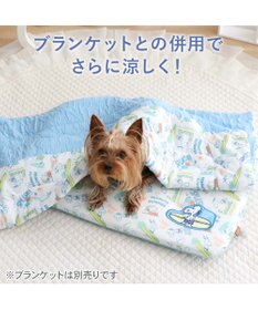 PET PARADISE スヌーピー もちっと クール マット Ｓ 《サーフ柄》