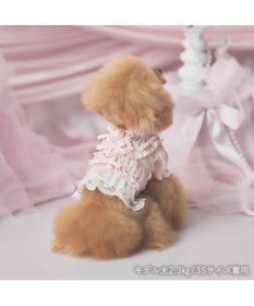 PET PARADISE cherircouture フリルシャツ 《ピンク》 小型犬