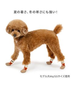 PET PARADISE ペットパラダイス ボーダー フィット靴 ＳＳ