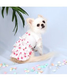 PET PARADISE 犬の服 春夏 ひんやり クール 接触冷感 虫除け 苺 ワンピース 【小型犬】クールマックスエコメイド