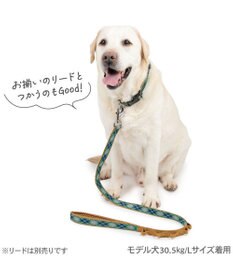 PET PARADISE ペットパラダイス チェック柄 首輪 ＳＭ 中型犬