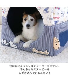 PET PARADISE スヌーピー 2wayヒッコリー ハウス (46×46cm)