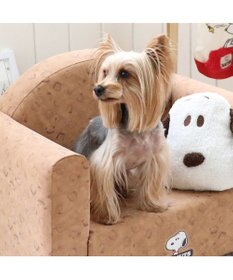 PET PARADISE スヌーピー ソファ 顔クッション付き 小型犬
