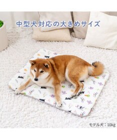 PET PARADISE リサとガスパール もちっと クールマット