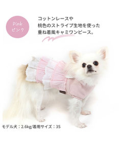 犬の服 犬 冬服 ワンピース 【小型犬】 重ね着風 ピンク