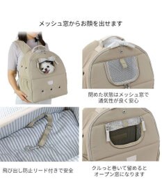 ペットパラダイス リュック キャリーバッグ シンプル ハグ