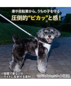 PET PARADISE ペットパラダイス 超反射 切り替え ハーネス＆リード ３Ｓ 《ブルーグリーン》