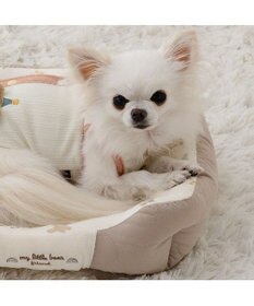 PET PARADISE ペットパラダイス くまちゃん キルトカドラー S  超小型犬 38×32cm