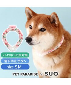 ペットパラダイス 28℃クールリング SUO 《いちご柄》 〔SM