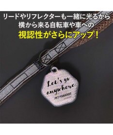 PET PARADISE ペットパラダイス 超反射 切り替え ハーネス＆リード ３Ｓ 《ブルーグリーン》