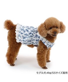 PET PARADISE ペットパラダイス 涼やか ワンピース 小型犬