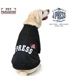 PET PARADISE J.PRESS ブラック スタジャン 中型犬 大型犬