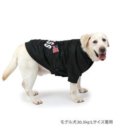 PET PARADISE J.PRESS ブラック スタジャン 中型犬 大型犬