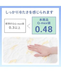 PET PARADISE ディズニー プルート もちっと クール ブランケット