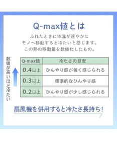 PET PARADISE ディズニー プルート もちっと クール ブランケット