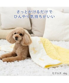 PET PARADISE ディズニー プルート もちっと クール ブランケット