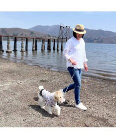 PET PARADISE ペットパラダイス 伸縮リード 《いちご柄 / ロゴ柄 》【小型犬】軽量 ロック式