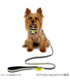 PET PARADISE スヌーピー ＪOE COOL 反射首輪 リーバーシブル仕様 Ｓ