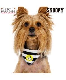 PET PARADISE スヌーピー ＪOE COOL 反射首輪 リーバーシブル仕様 Ｓ