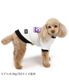 PET PARADISE Lee 四角 ロゴトレーナー 小型犬