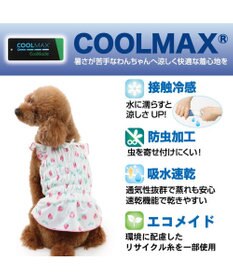 PET PARADISE ペットパラダイス エコメイド キャミソール 《苺柄》 小型犬