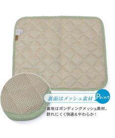 PET PARADISE 犬 クール マット 冷感 スヌーピー 柔らか サーフ 柄クールマット (48×40cm)  四角 接触冷感
