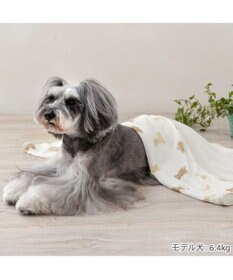 PET PARADISE ペットパラダイス クールケット 《くまちゃん》 小型犬