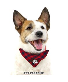 PET PARADISE ディズニー ミッキーマウス プルート  散歩柄首輪【3S】 小型犬