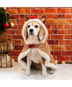 PET PARADISE ペットパラダイス トナカイ ポンチョ 2025 中型犬 大型犬