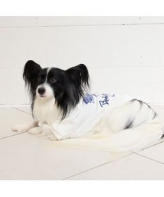 PET PARADISE ペットパラダイス Mai Kuraki ベニート パーカー 《ホワイト》 小型犬